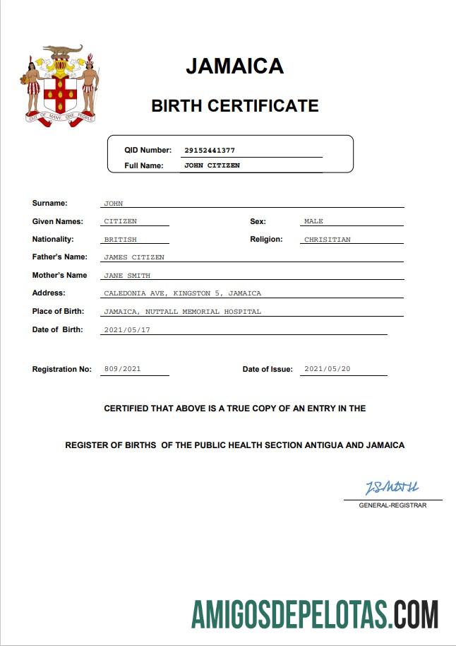 Realista modelo Word e PDF de certidão de nascimento de registro vital da Jamaica